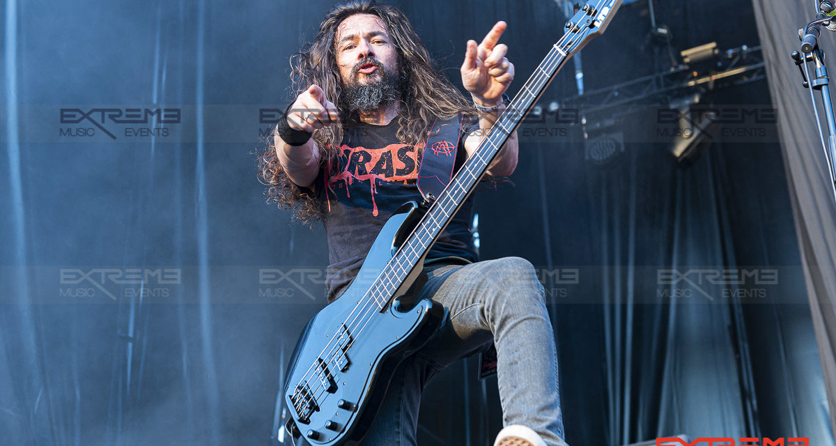 Angelus Apatrida